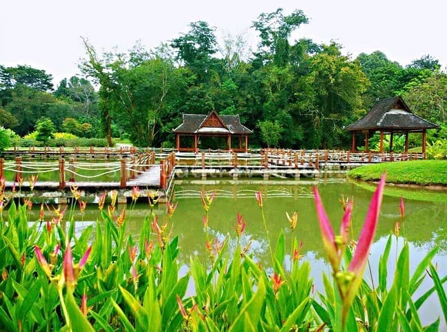 Xishuangbanna Tropical Botanical Garden.jpg
