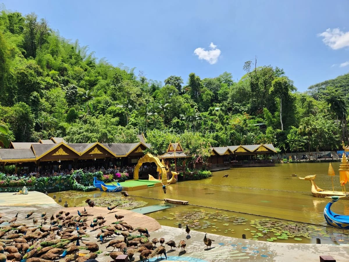 Primitive Forest Park.jpg