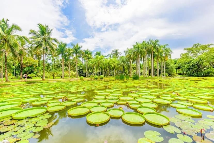 Tropical Botanical Garden.jpg