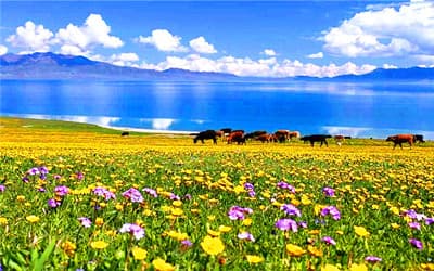 Sayram Lake Yining.jpg