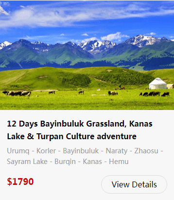 bayanbulak-grassland-26.png
