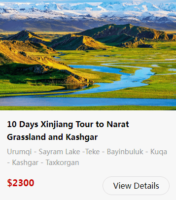 bayanbulak-grassland-24.png