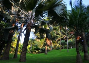 Xiamen Botanical Garden