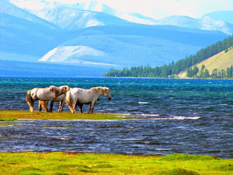 Mongolia's natural beauty.jpg