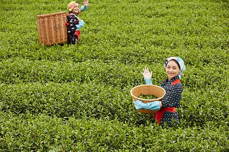 Tujia Culture 6.jpg