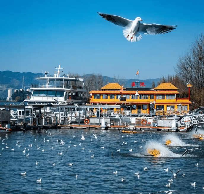 dianchi lake1.png