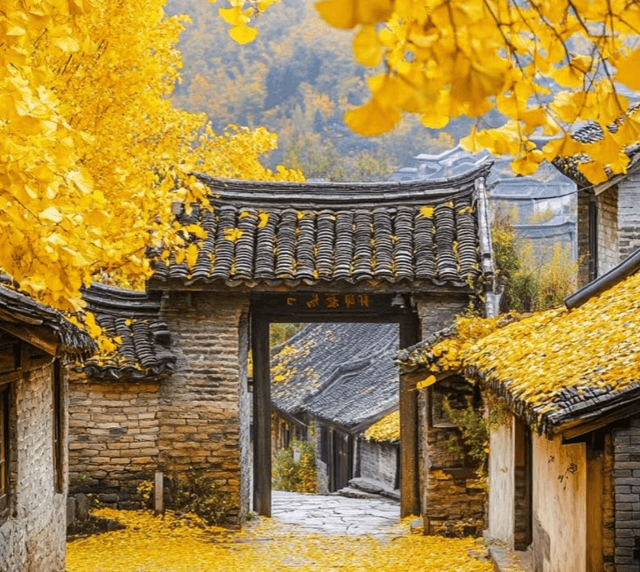 yunnan-autumn.png