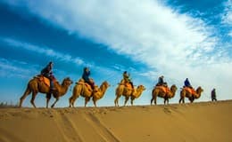 camel riding_.jpg