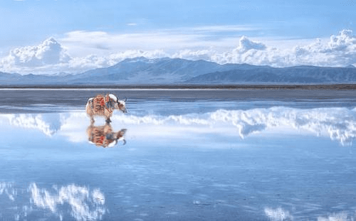 Qinghai Lake-2.png