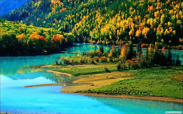 Kanas Nature Reserve-2.jpg