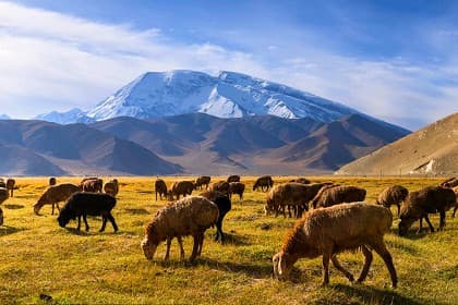 karakul-lake-02