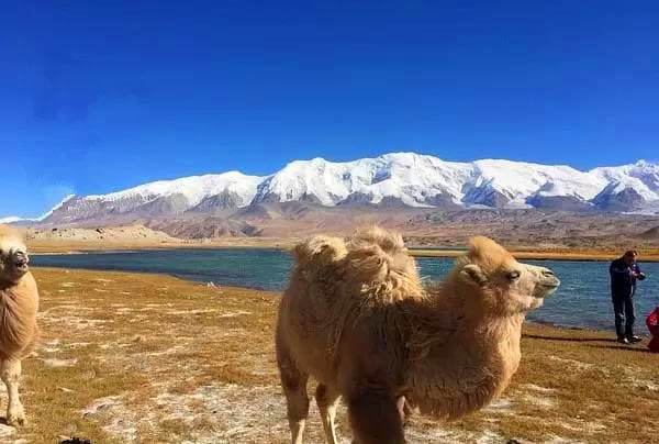 karakul-lake-1