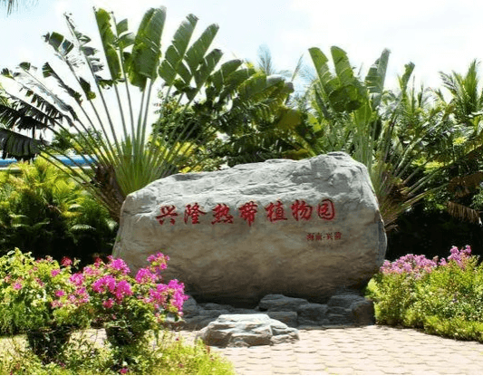 tropical-xinglong-botanical-garden