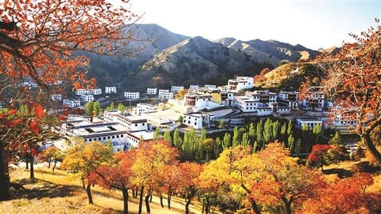 wudang-temple