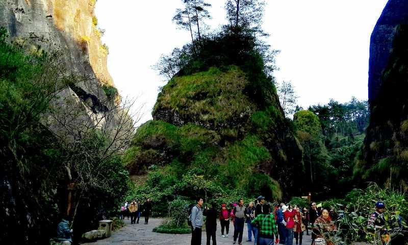 dahongpao-scenic-area