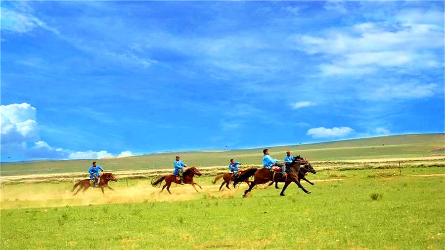 shelamuren-grassland-01
