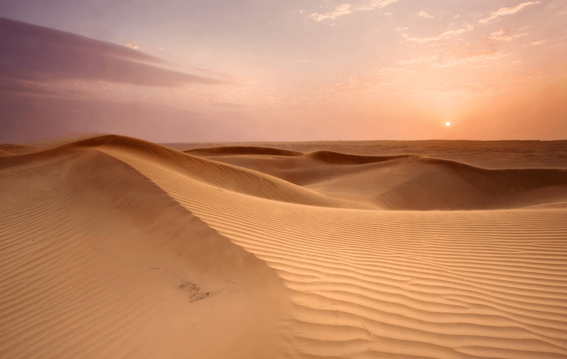 kubuqi-desert