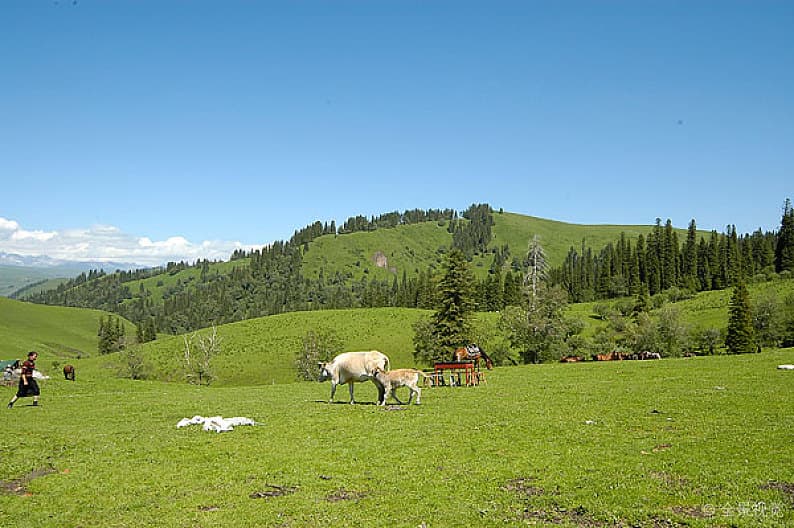 naraty-grassland naraty-grassland