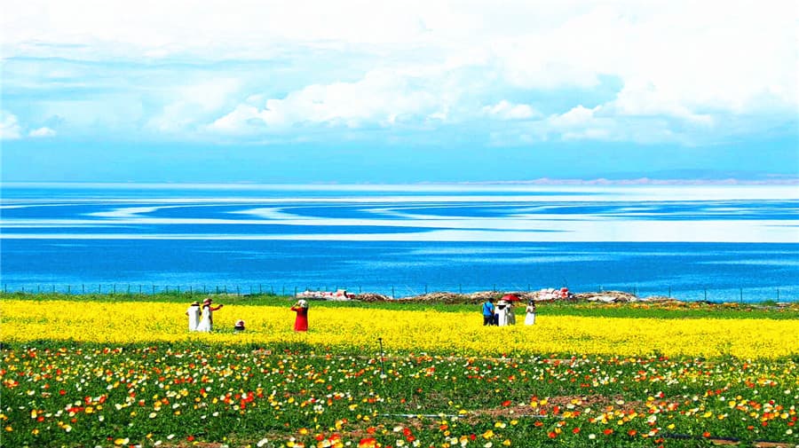 qinghai-lake-1
