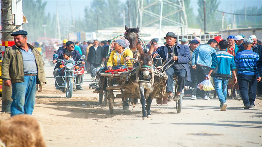 sunday-bazaar