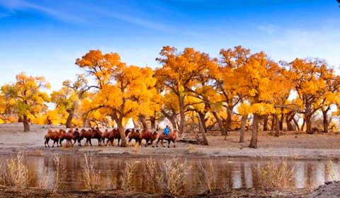15-days-northwest-china-adventure-tour