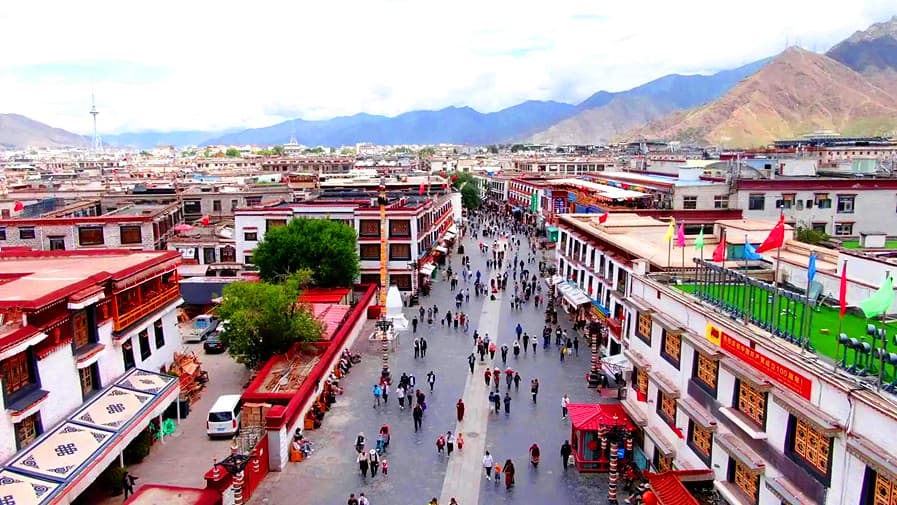 lhasa
