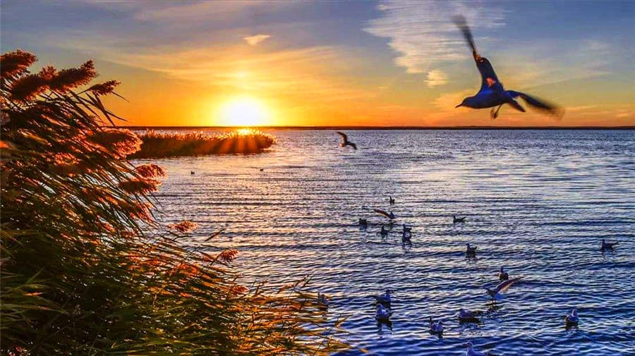 juyan-lake