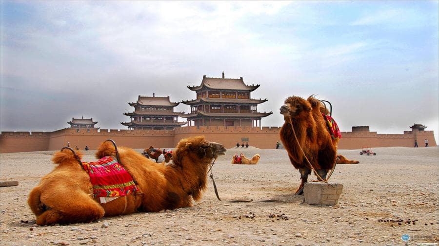 dunhuang
