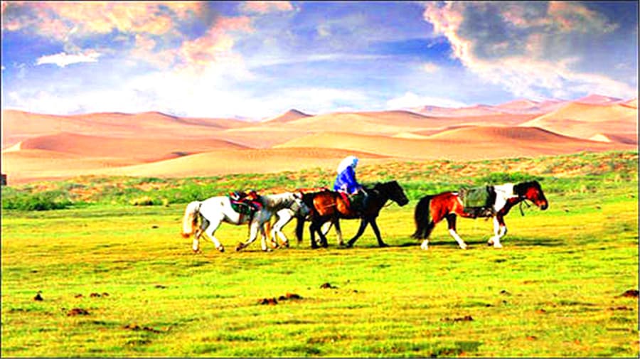 tonghu-grassland