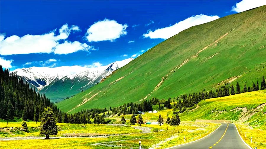 duku-highway-1