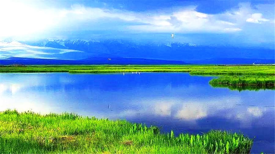 bayinbuluk