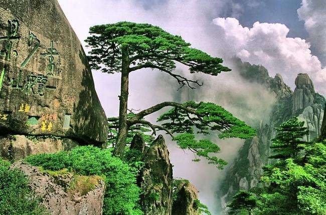 mount-huangshan-1