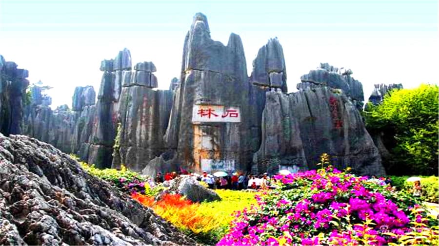 stone-forest