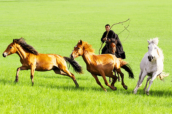 mongolian-herdsmen-s-pasture