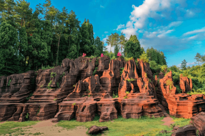 red-stone-forest
