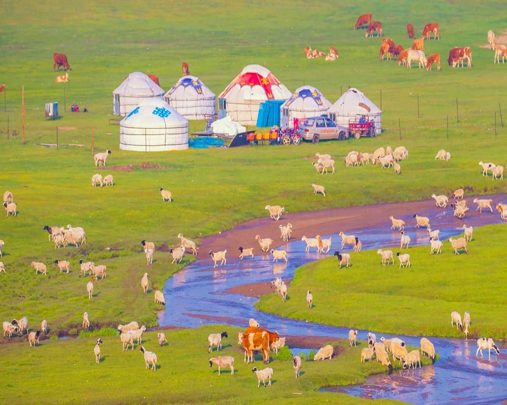 mongolian-herdsmen-s-pasture-2