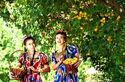 xinjiang-weather