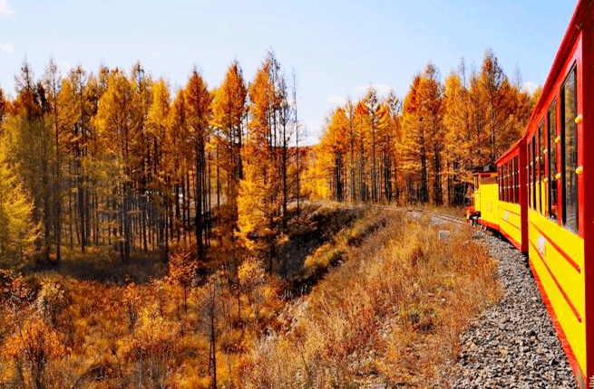 mordoga-national-forest-park-2