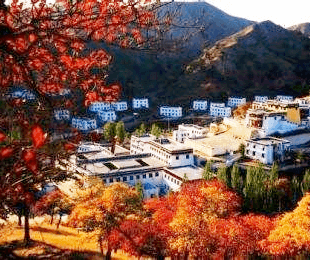 wudang-monastery