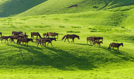 boundless-prairie-2
