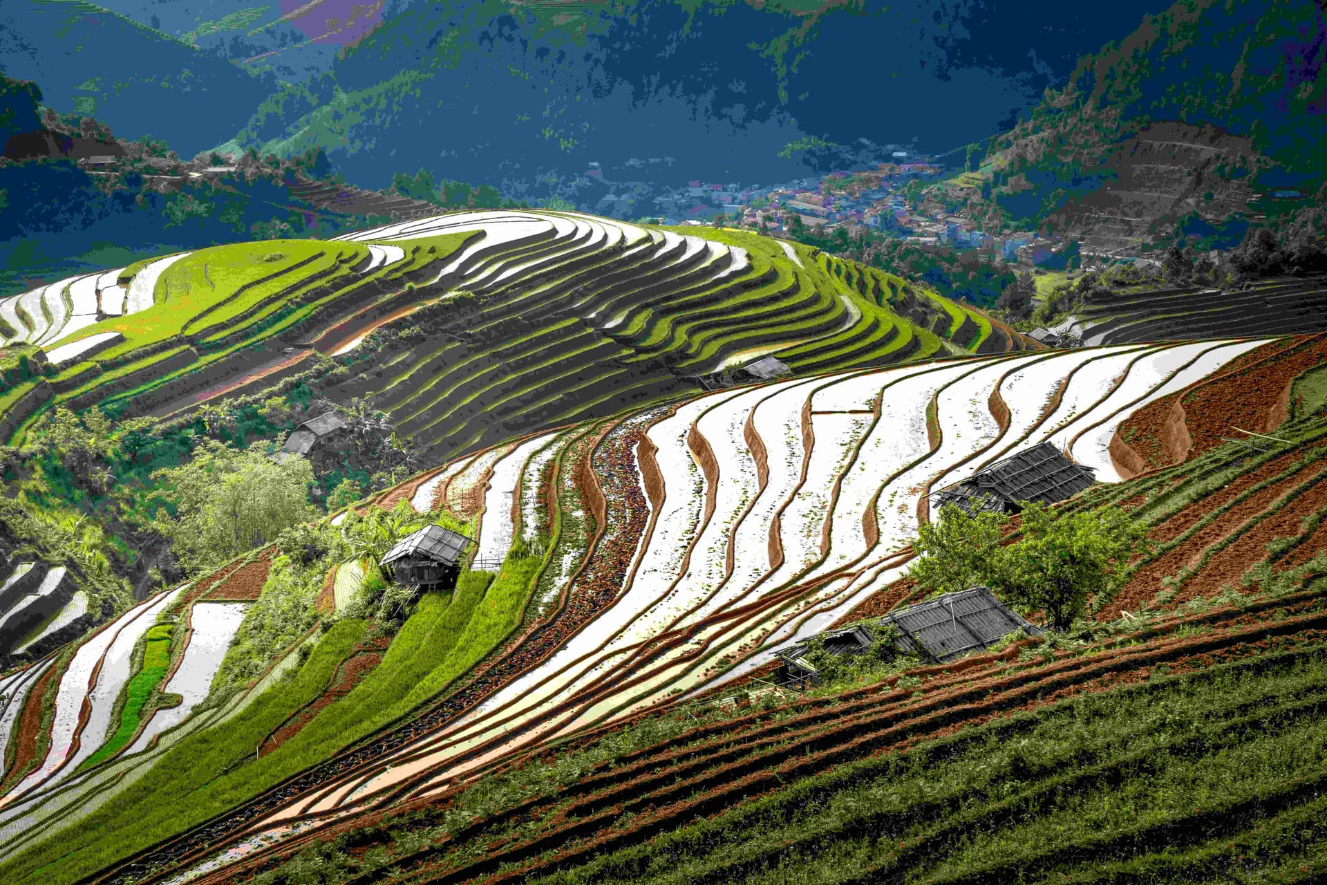 longji-rice-terraces-2