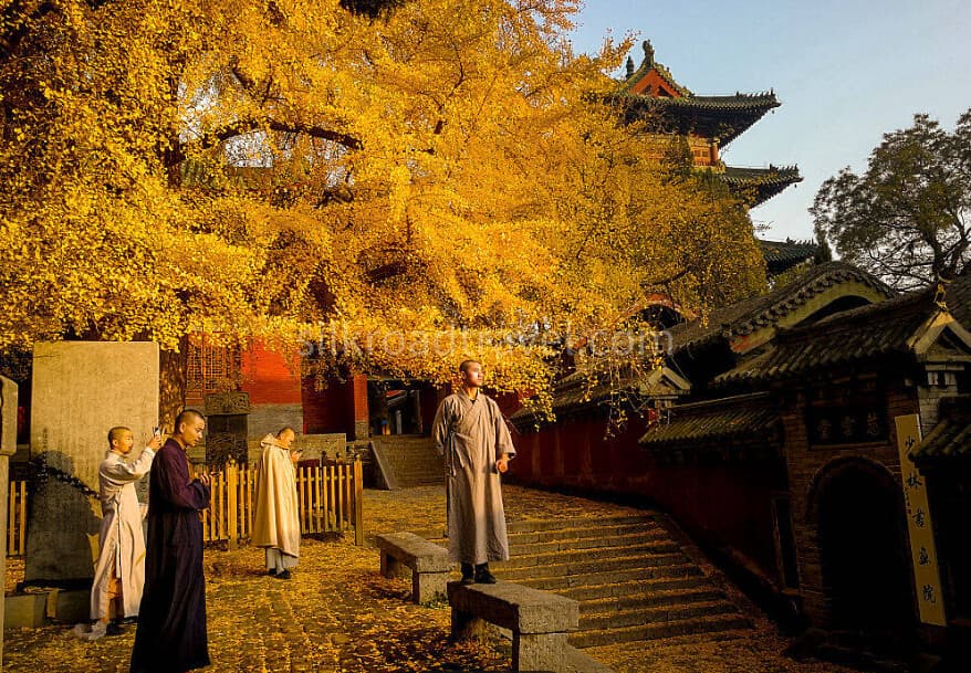 shaolin-temple