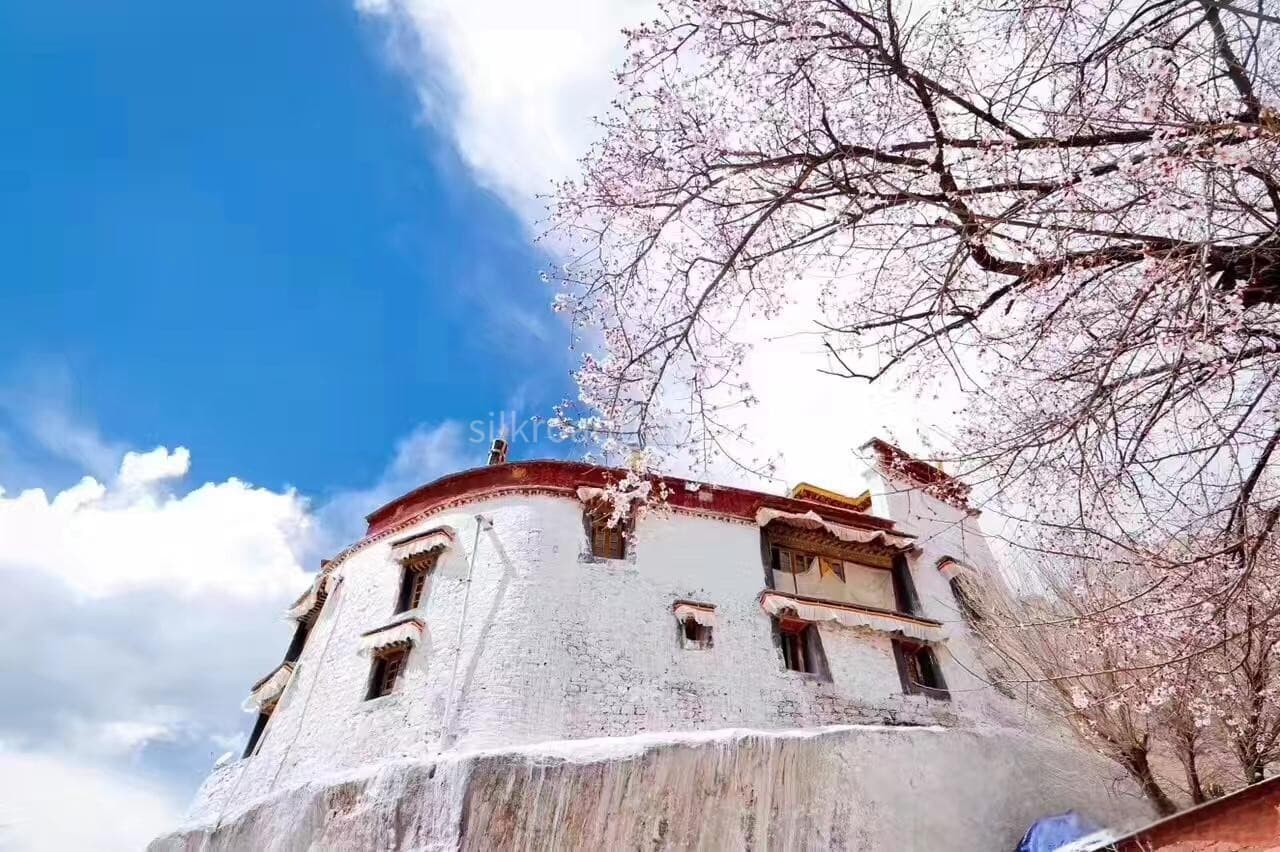 pabonka-palace