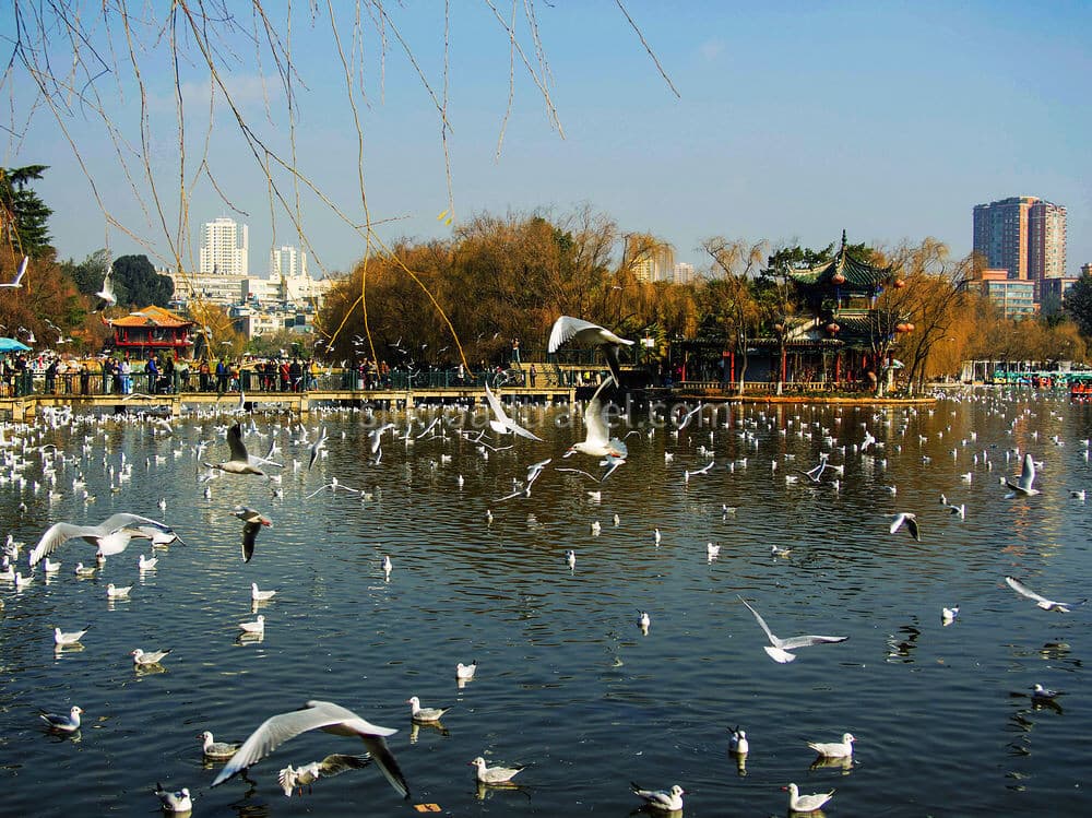 green-lake