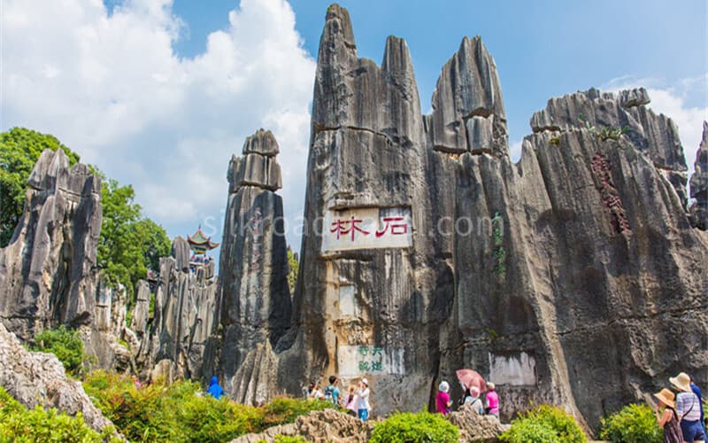 stone-forest