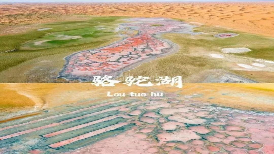 camel-lake