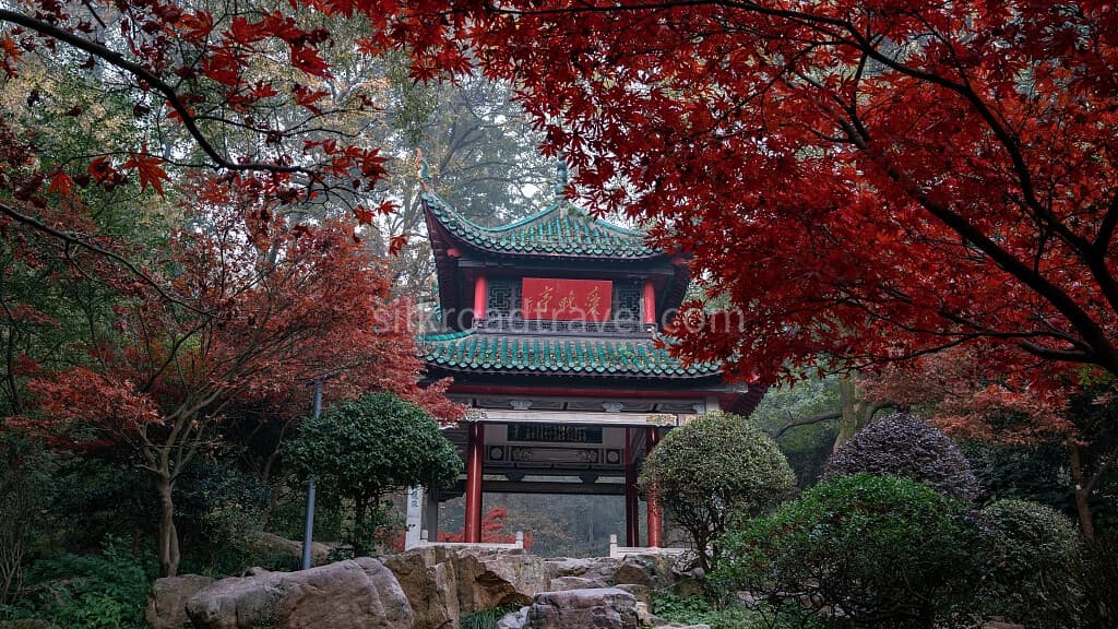 yuelu-mountain yuelu-mountain