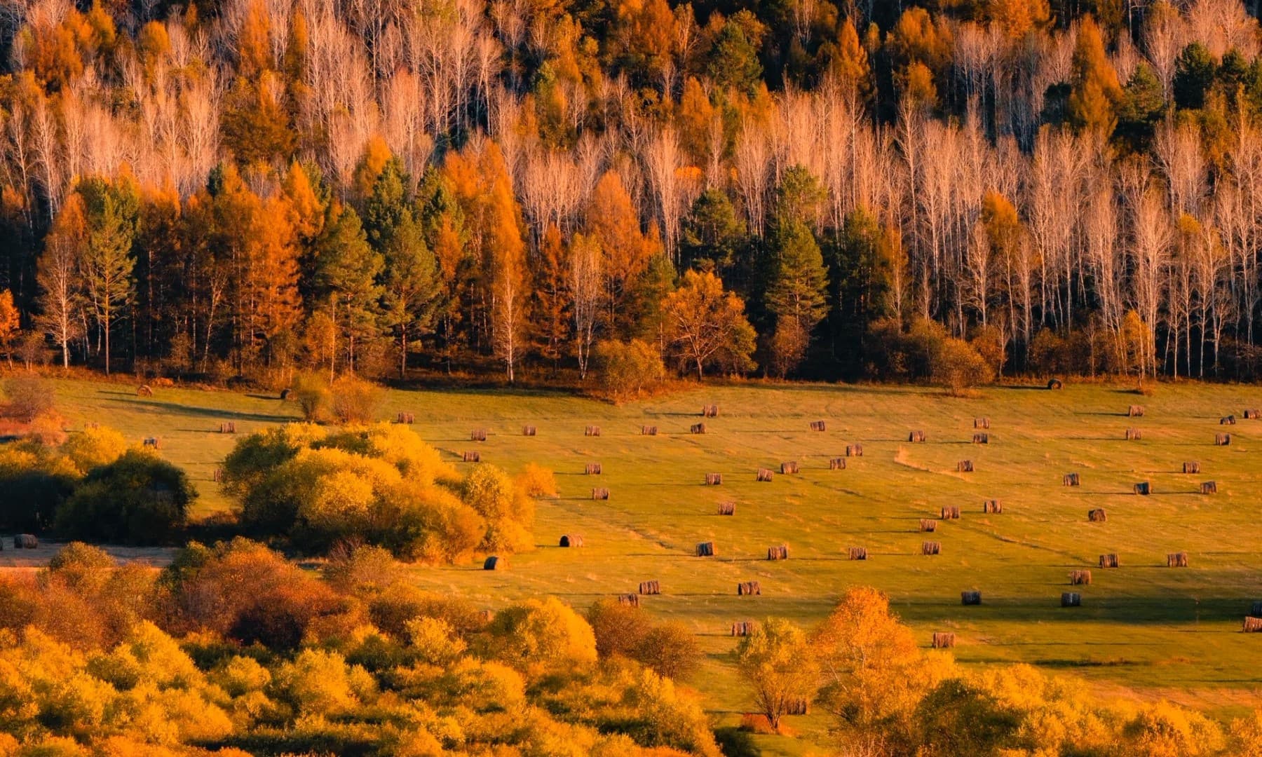 inner-mongolia