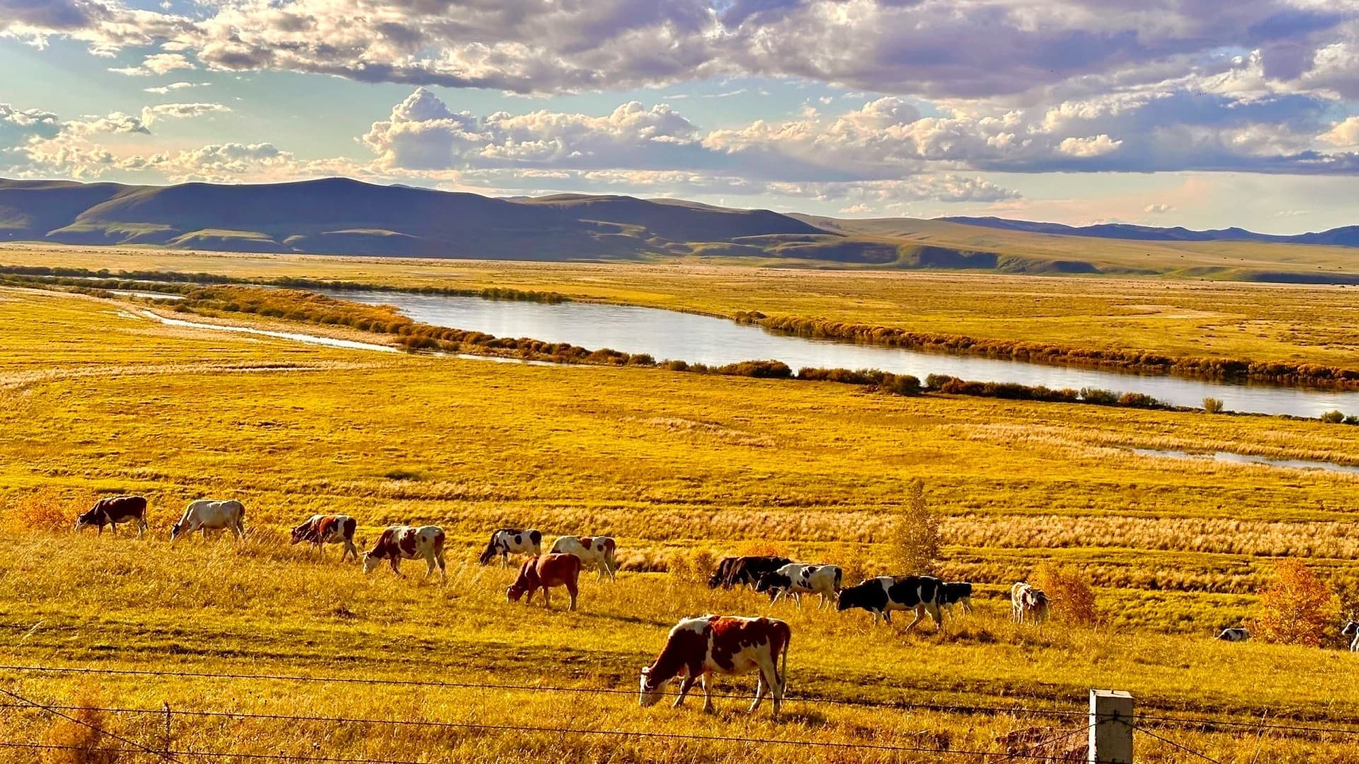 inner-mongolia