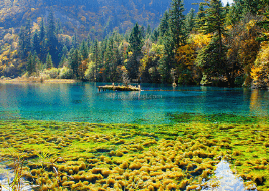 rize-valley
